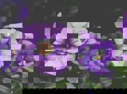 unsplash-525b54bcc32ba-1