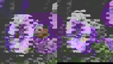 unsplash-525b54bcc32ba-1