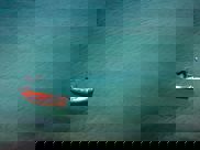 unsplash-5239d6c04342c-1