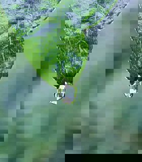 unsplash-525d659117c91-1