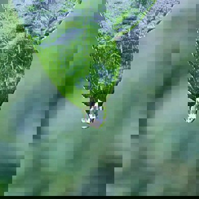 unsplash-525d659117c91-1